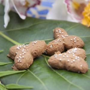 Chocolate Almond Biscuits